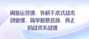 闲鱼运营课,外科手术式战术创业课,简单粗暴直接,真正的战术实战课-风淘社