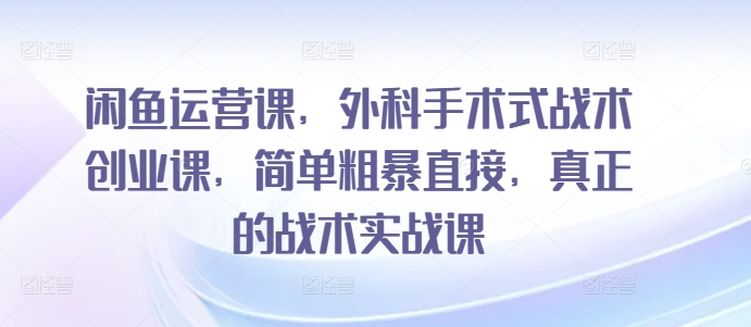 闲鱼运营课,外科手术式战术创业课,简单粗暴直接,真正的战术实战课-风淘社