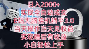 日入2000+，实现全自动成交，B站无脑挂机躺平3.0，当天操作当天见收益，实现睡后有收益【揭秘】-风淘社