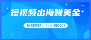 短视频出海赚美金，复制粘贴批量操作，小白轻松掌握，月入4500美刀【揭秘】-风淘社