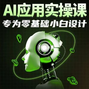 AI应用实操课,专为零基础小白设计-风淘社