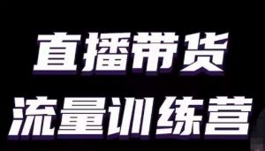 直播带货流量训练营，小白主播必学直播课-风淘社