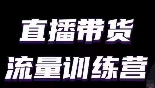 直播带货流量训练营,小白主播必学直播课-风淘社