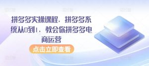 拼多多实操课程,拼多多系统从0到1,教会你拼多多电商运营-风淘社