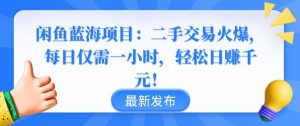 闲鱼蓝海项目:二手交易火爆,每日仅需一小时,轻松日赚千元【揭秘】-风淘社