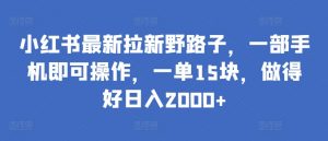 小红书最新拉新野路子,一部手机即可操作,一单15块,做得好日入2000+【揭秘】-风淘社