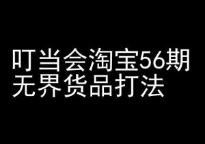 叮当会淘宝56期:无界货品打法-淘宝开店教程-风淘社
