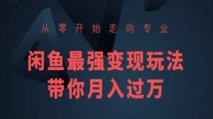 从零开始走向专业,闲鱼最强变现玩法带你月入过万-风淘社