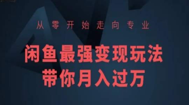 从零开始走向专业,闲鱼最强变现玩法带你月入过万-风淘社