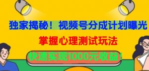 独家揭秘!视频号分成计划曝光,掌握心理测试玩法,快速实现1000元收益【揭秘】-风淘社