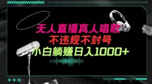 抖音24小时无人直播音乐,不违规,不封号纯撸音浪,小白实操当天日入1000+【揭秘】-风淘社