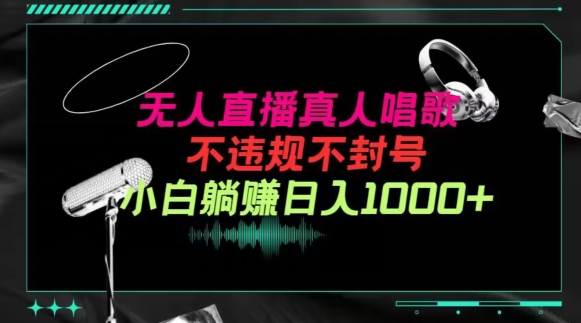 抖音24小时无人直播音乐,不违规,不封号纯撸音浪,小白实操当天日入1000+【揭秘】-风淘社