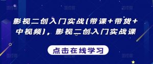 影视二创入门实战(带课+带货+中视频),影视二创入门实战课-风淘社