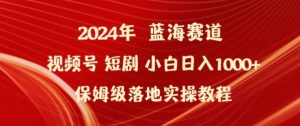 2024年视频号短剧新玩法小白日入1000+保姆级落地实操教程【揭秘】-风淘社