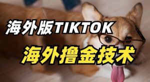 抖音海外版tiktok撸金技术，这个风口行业，赚钱真的不难【揭秘】-风淘社