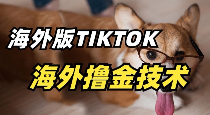 抖音海外版tiktok撸金技术,这个风口行业,赚钱真的不难【揭秘】-风淘社