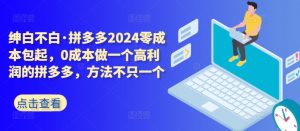 拼多多2024零成本包起,0成本做一个高利润的拼多多,方法不只一个-风淘社
