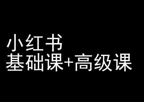 小红书基础课+高级课-小红书运营教程-风淘社