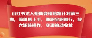 小红书达人矩阵变现陪跑计划第三期，简单易上手，兼职全职都行，放大矩阵操作，实现被动收益-风淘社