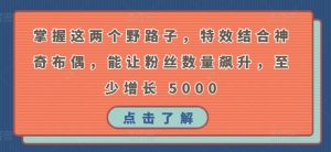 掌握这两个野路子,特效结合神奇布偶,能让粉丝数量飙升,至少增长 5000【揭秘】-风淘社