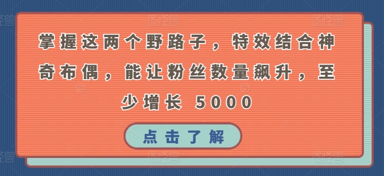 掌握这两个野路子,特效结合神奇布偶,能让粉丝数量飙升,至少增长 5000【揭秘】-风淘社