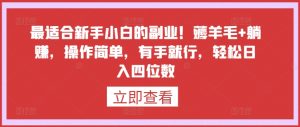 最适合新手小白的副业!薅羊毛+躺赚,操作简单,有手就行,轻松日入四位数【揭秘】-风淘社