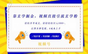 靠玄学掘金,视频直接引流玄学粉, 轻松开单成交,后期多种变现,0成本上手【揭秘】-风淘社
