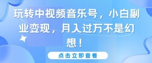 玩转中视频音乐号，小白副业变现，月入过万不是幻想【揭秘】-风淘社