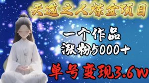 天选之人炼金项目,一个作品涨粉5000+,单号变现3.6w【揭秘】-风淘社