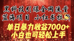 蓝海项目!黑科技引爆全网流量小红书拉新,单日暴力收益7000+,小白也能轻松上手【揭秘】-风淘社