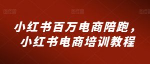 小红书百万电商陪跑，小红书电商培训教程-风淘社