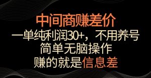 中间商赚差价，一单纯利润30+，简单无脑操作，赚的就是信息差，轻轻松松日入1000+【揭秘】-风淘社