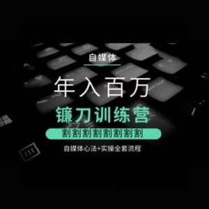 自媒体年入百万镰刀训练营，割割割割割割割割，自媒体心法+实操全套流程-风淘社