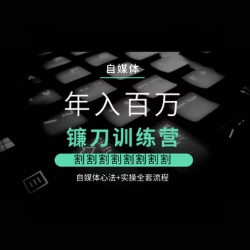自媒体年入百万镰刀训练营，割割割割割割割割，自媒体心法+实操全套流程-风淘社