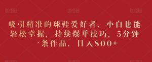吸引精准的球鞋爱好者，小白也能轻松掌握，持续爆单技巧，5分钟一条作品，日入800+【揭秘】-风淘社