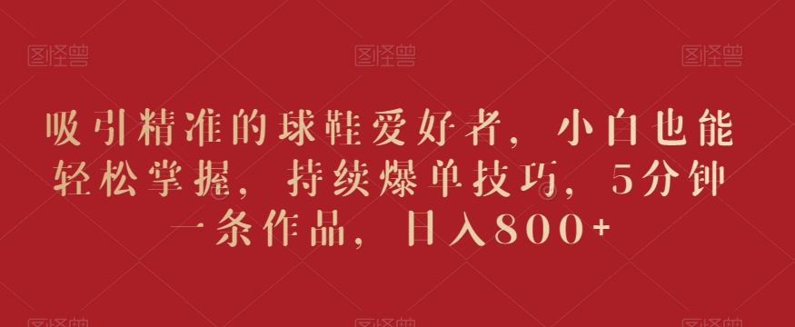 吸引精准的球鞋爱好者,小白也能轻松掌握,持续爆单技巧,5分钟一条作品,日入800+【揭秘】-风淘社