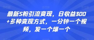 最新S粉引流变现，日收益300+多种变现方式，一分钟一个视频，发一个爆一个【揭秘】-风淘社