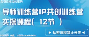 导师训练营3.0IP共创训练营私密实操课程(12节)-卖项目的密码成功秘诀【揭秘】-风淘社