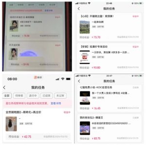 2024年3月最新,快手磁力聚星全流程实操教学,8台手机日均收益稳定100~200元【揭秘】-风淘社