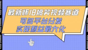最新怀旧搞笑视频赛道,可多平台分发,实现利益最大化【揭秘】-风淘社