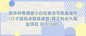 国外问卷调查小白在家也可批量操作(口子查站点查渠道查)真正的长久稳定项目 日入1500+【揭秘】-风淘社