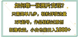 如何靠一张图片变现?只需简单几步,轻松俘获流量,3天起号,作品轻松过原创【揭秘】-风淘社