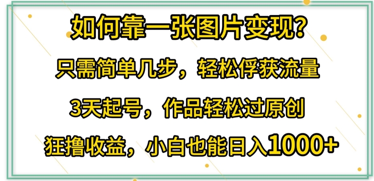 如何靠一张图片变现?只需简单几步,轻松俘获流量,3天起号,作品轻松过原创【揭秘】-风淘社