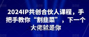 2024IP共创合伙人课程，手把手教你“割韭菜”，下一个大佬就是你-风淘社