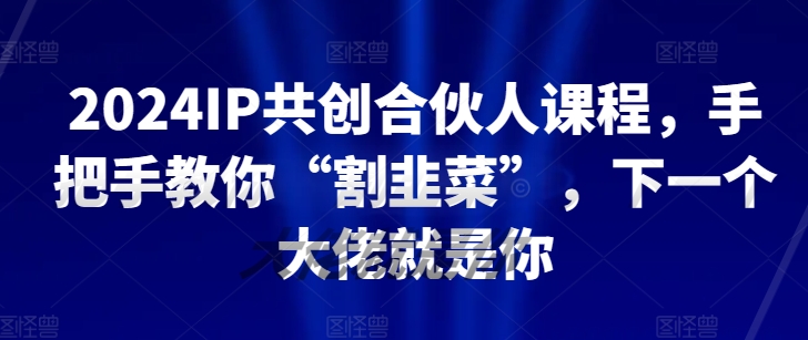 2024IP共创合伙人课程,手把手教你“割韭菜”,下一个大佬就是你-风淘社