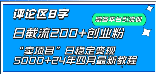 抖音评论区8字日截流200+创业粉 “卖项目”日稳定变现5000+【揭秘】-风淘社