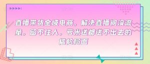 直播带货全域电商,解决直播间没流量,留不住人,亏米送都送不出去的尴尬局面-风淘社