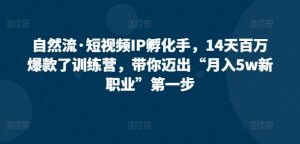 自然流·短视频IP孵化手,14天百万爆款了训练营,带你迈出“月入5w新职业”第一步-风淘社