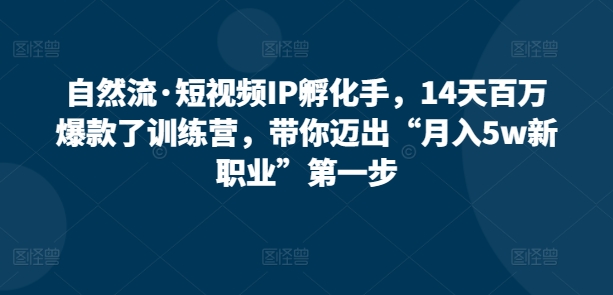 自然流·短视频IP孵化手，14天百万爆款了训练营，带你迈出“月入5w新职业”第一步-风淘社