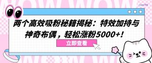 两个高效吸粉秘籍揭秘：特效加持与神奇布偶，轻松涨粉5000+【揭秘】-风淘社